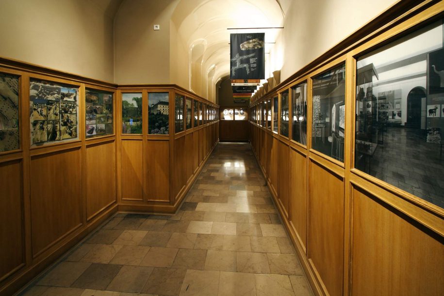 Zdjęcie kolorowe. Długi, zwężający się korytarz o ścianach wyłożonych drewnianymi panelami, nad którymi znajdują się publikacje książkowe wydawane przez muzeum oraz tablice z fotografiami przedstawiającymi wykopaliska archeologiczne prowadzone przez muzeum.