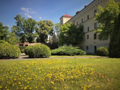 budynek Muzeum - widok z ogrodu