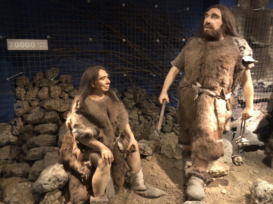 Neandertalczycy - figury na wystawie
