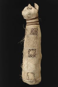 Mumia z Muzeum Sztuk Pięknych w Rennes