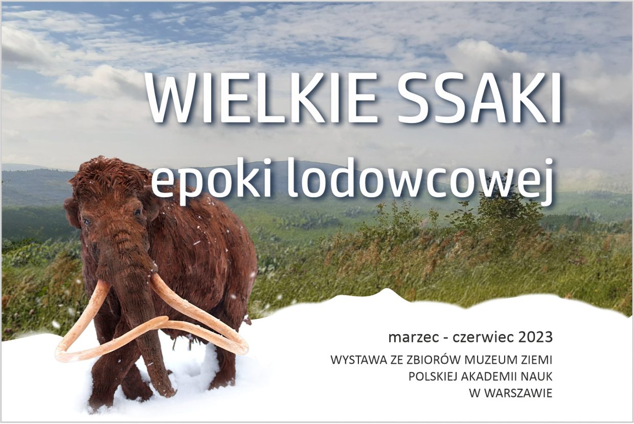 kolorowa grafika z mamutem na zaśnieżonej łące - informująca o wystawie "Wielkie ssaki epoki lodowcowej"