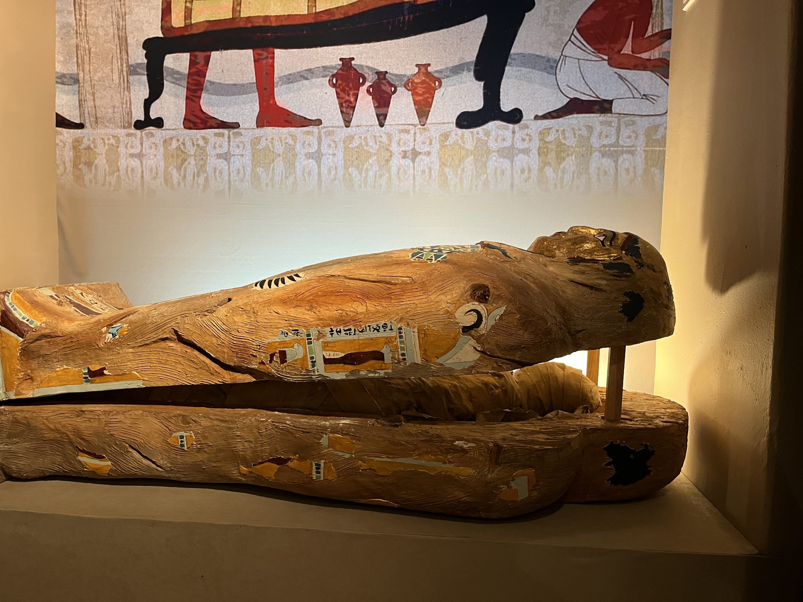 wystawa - Śladami polskich pionierów badań starożytnego Egiptu