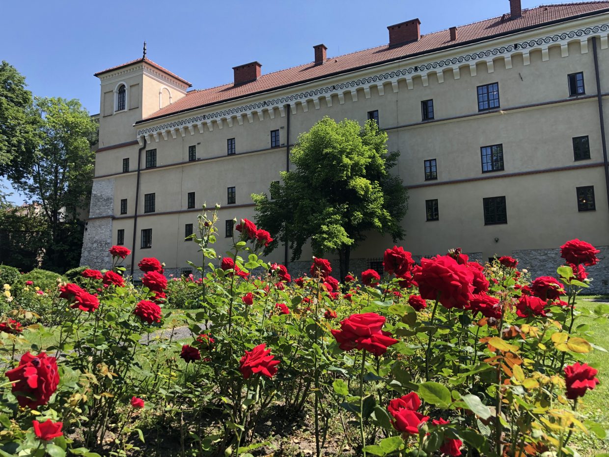 budynek Mu zeum na tle róż