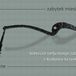 1. Kleszcze z Krakowa Krzesławic – widok ogólny