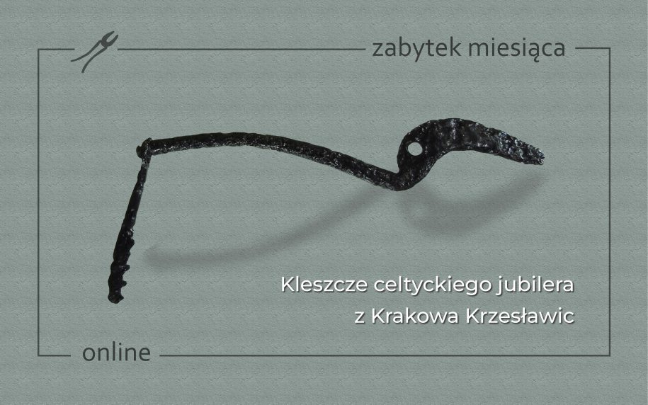 1. Kleszcze z Krakowa Krzesławic – widok ogólny