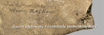 Gąsior płytowaty z czekolady podkrakowskiej