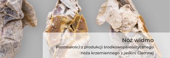 Nóż widmo. Pozostałości z produkcji środkowopaleolitycznego noża krzemiennego z jaskini Ciemnej