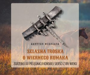 Zgrzebło żelazne nr MAK/K/108/11 (fot. B. Pilarski, MAK)