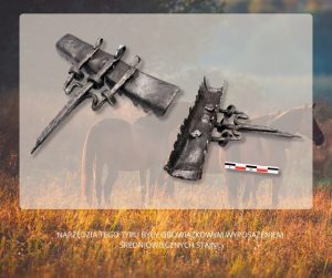 Zgrzebło żelazne nr MAK/K/108/11 (fot. B. Pilarski, MAK)