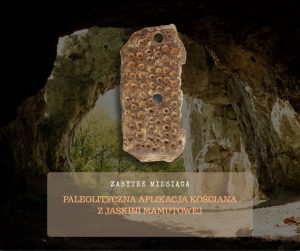 banner ZABYTEK MIESIACA ONLINE