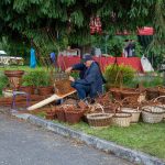 20. Małopolski Piknik Archeologiczny