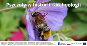 kolorowa grafika z pszczołą na kwiecie zapowiadająca cykl wydarzen w ramach projektu Pszczoły w historii i archeologii