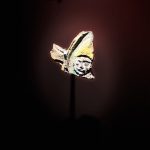 Wycieczka studyjna Wiślica i&nbsp;Nowa Słupia