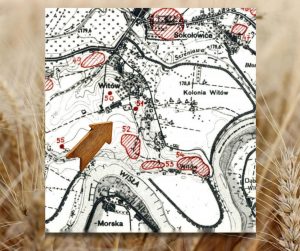 Mapa Stanowisk archeologicznych w&nbsp;okolicy Witowa wg. danych z&nbsp;badań AZP, mapa czarno-biała, czerwonymi plamami oznaczone stanowiska archeologiczne, w&nbsp;tle zboża