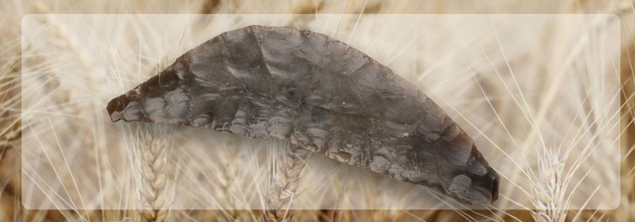 Zdjęcie sierpa z powierzchnią tnącą z lewej strony, na jasnym półprzeźroczystym tle a za nim tło ze zboża.