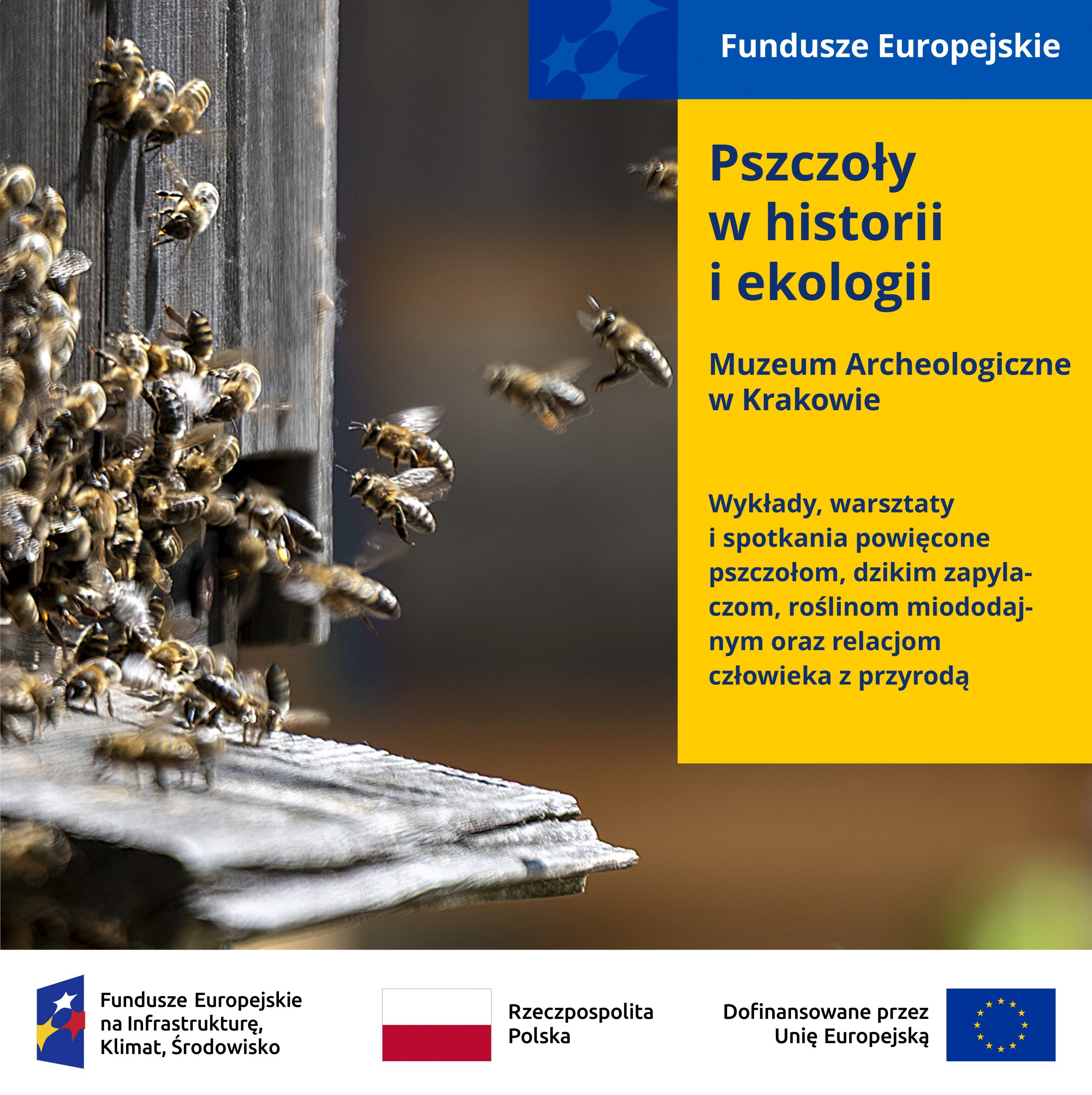 kolorowa grafika z pszczołami zachęcająca do udziału w zajęciach o pszczołach